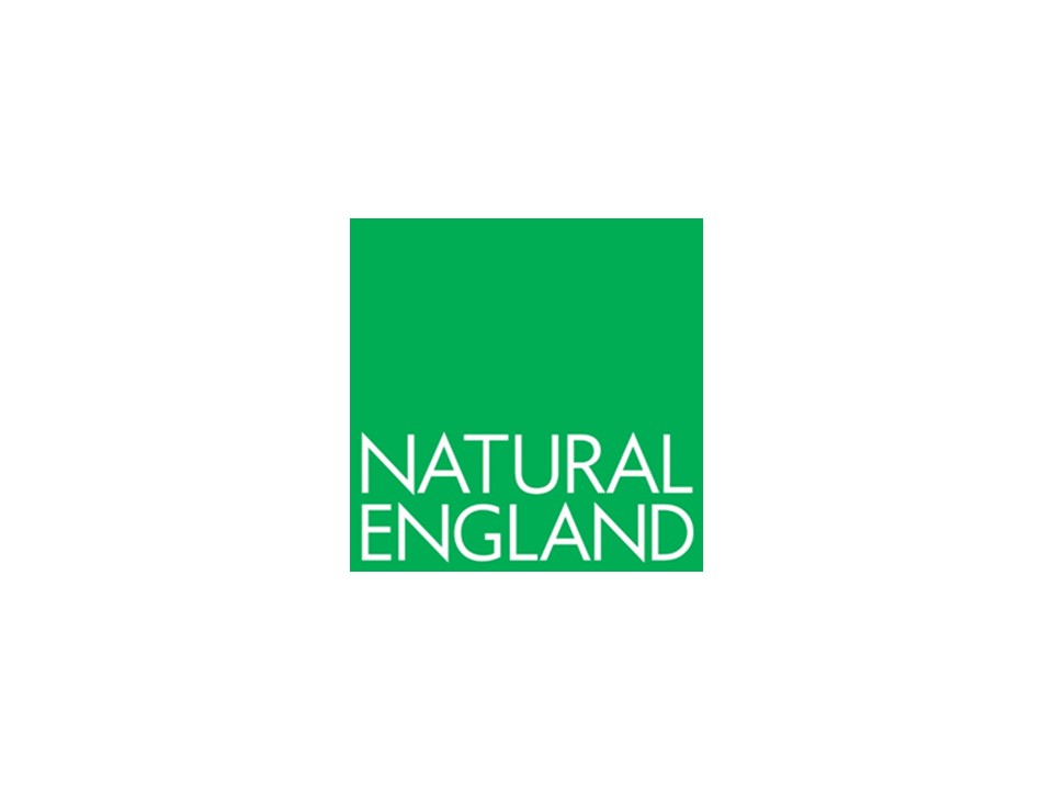 Chief Executive Officer, Natural England (OBYWA)